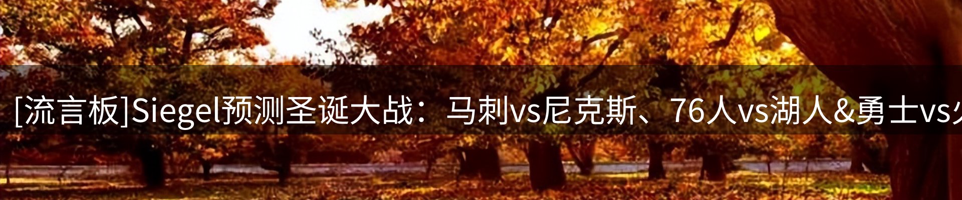 内页banner